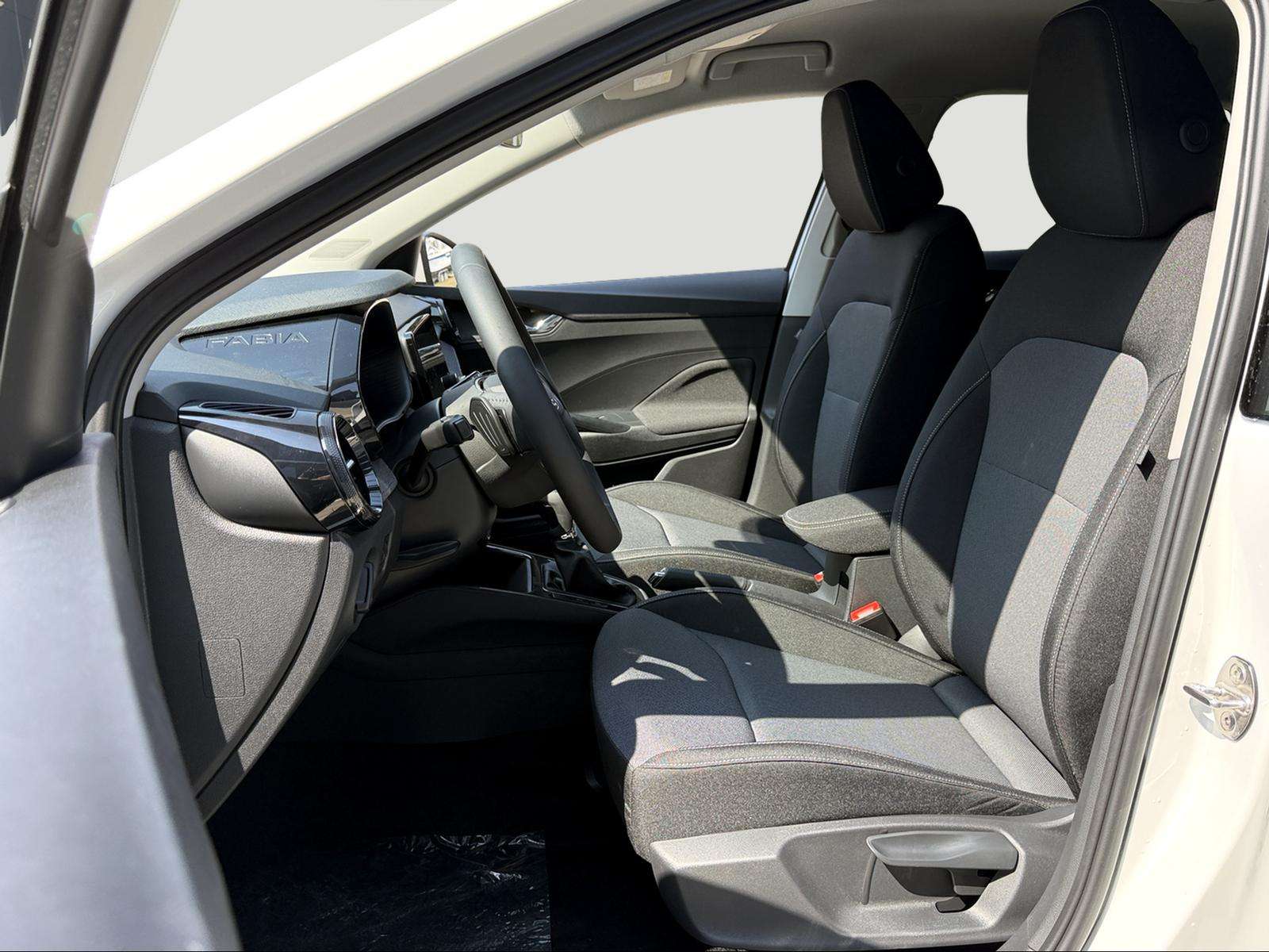 Fahrzeugbild eines Skoda Fabia