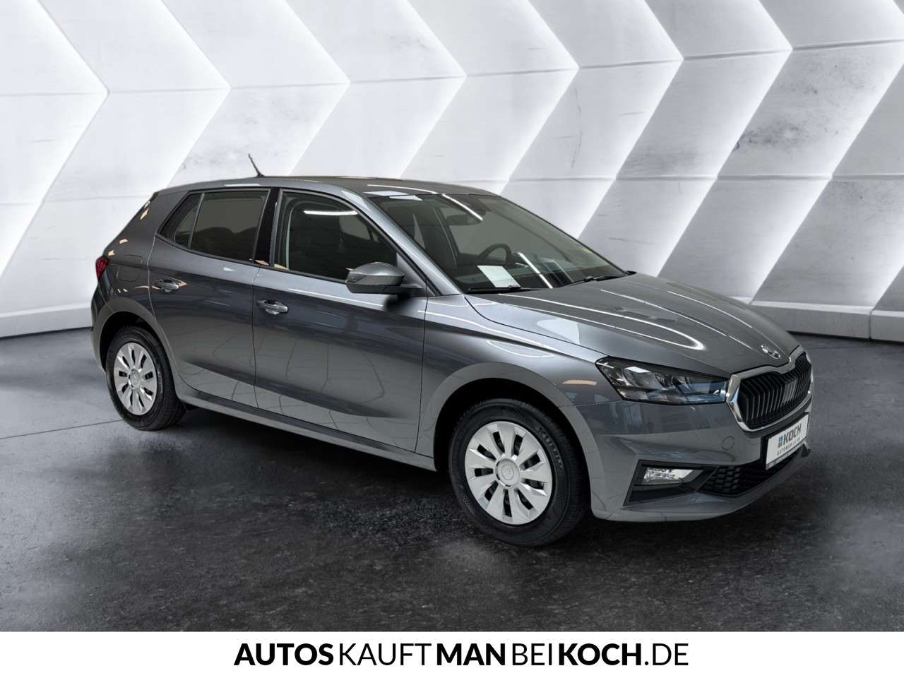 Fahrzeugbild eines Skoda Fabia