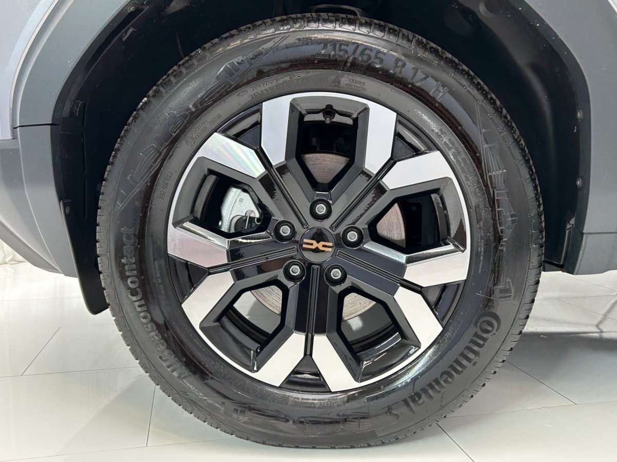 Fahrzeugbild eines Dacia Duster