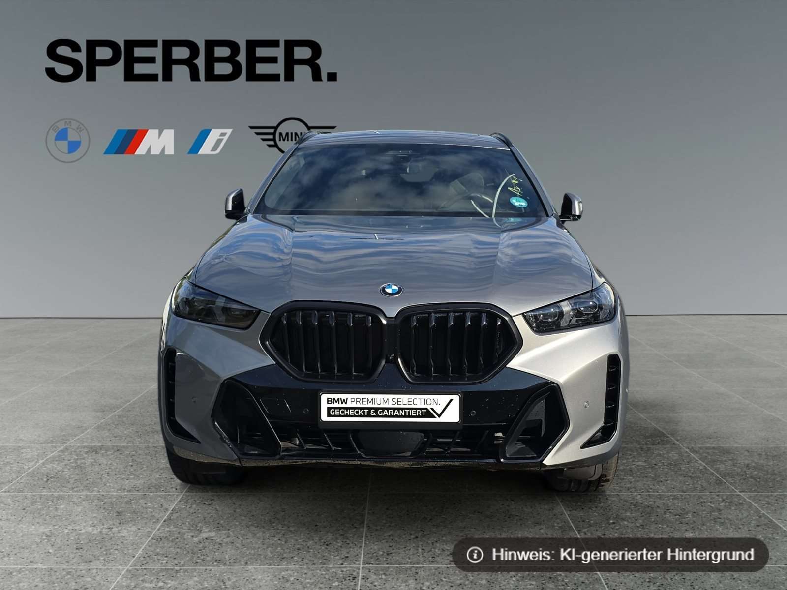 Fahrzeugbild eines BMW X6