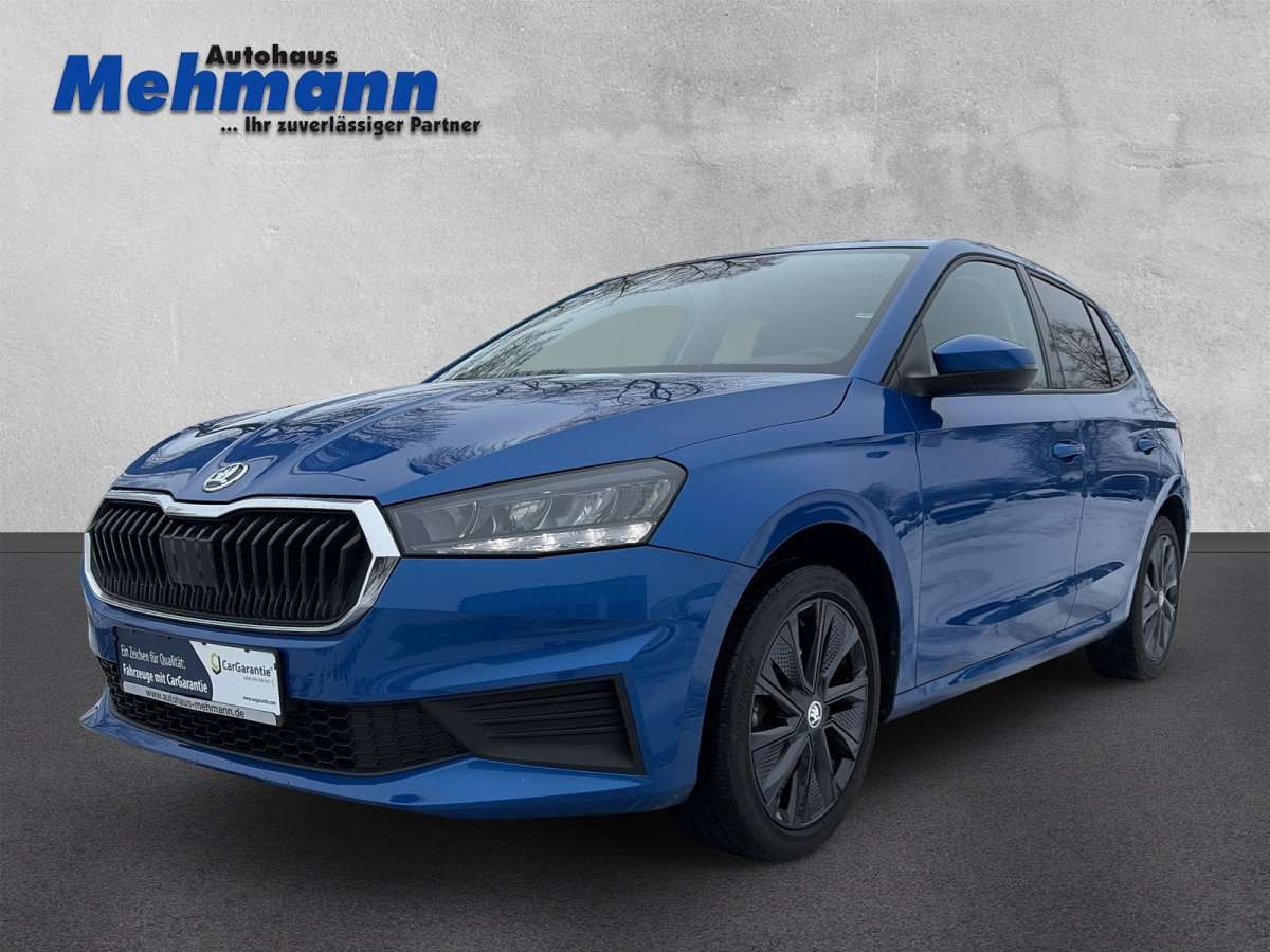 Fahrzeugbild eines Skoda Fabia