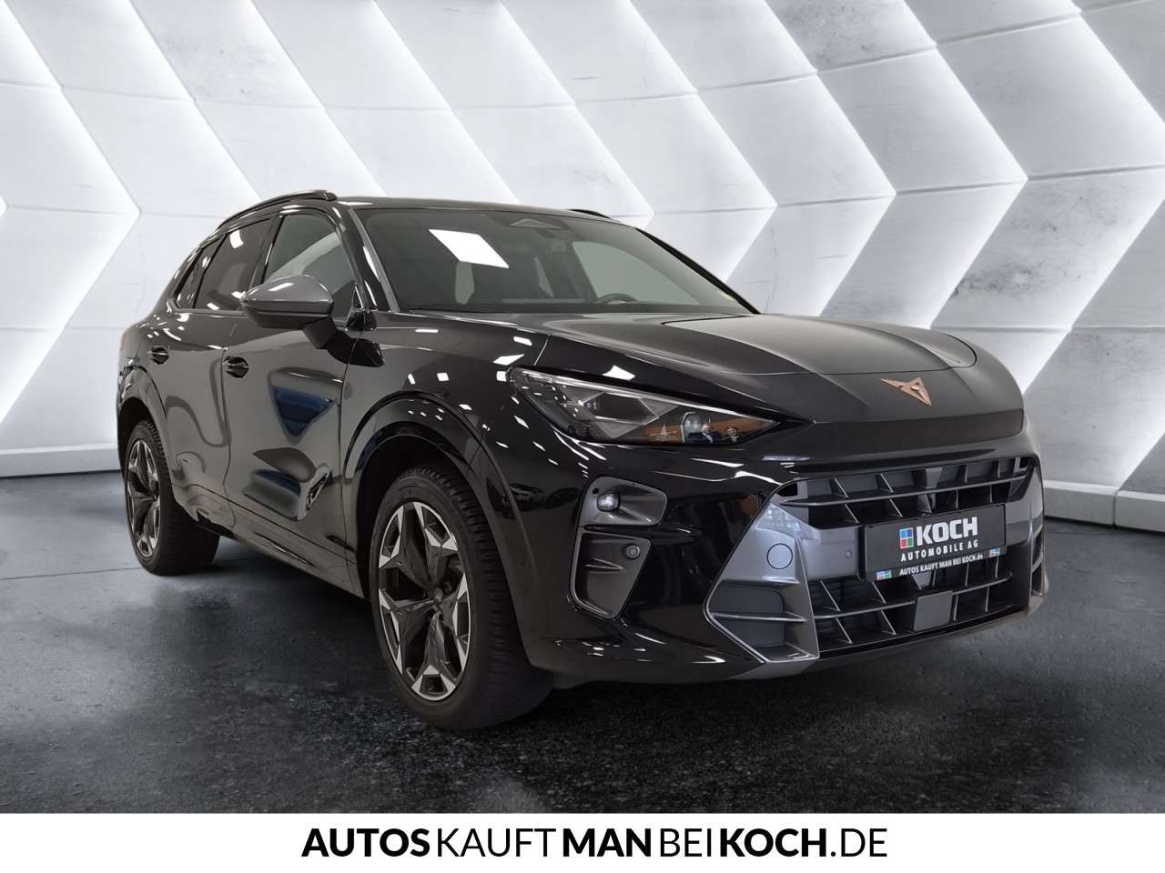 Fahrzeugbild eines CUPRA Terramar