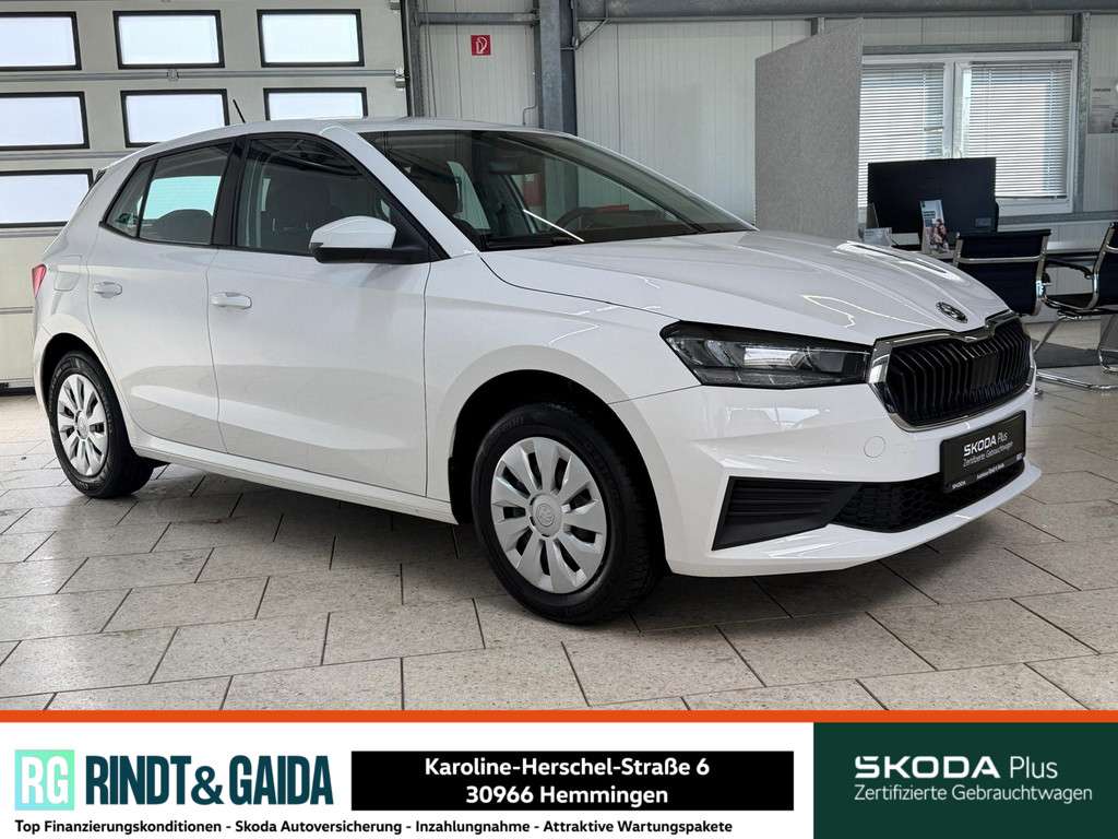 Fahrzeugbild eines Skoda Fabia