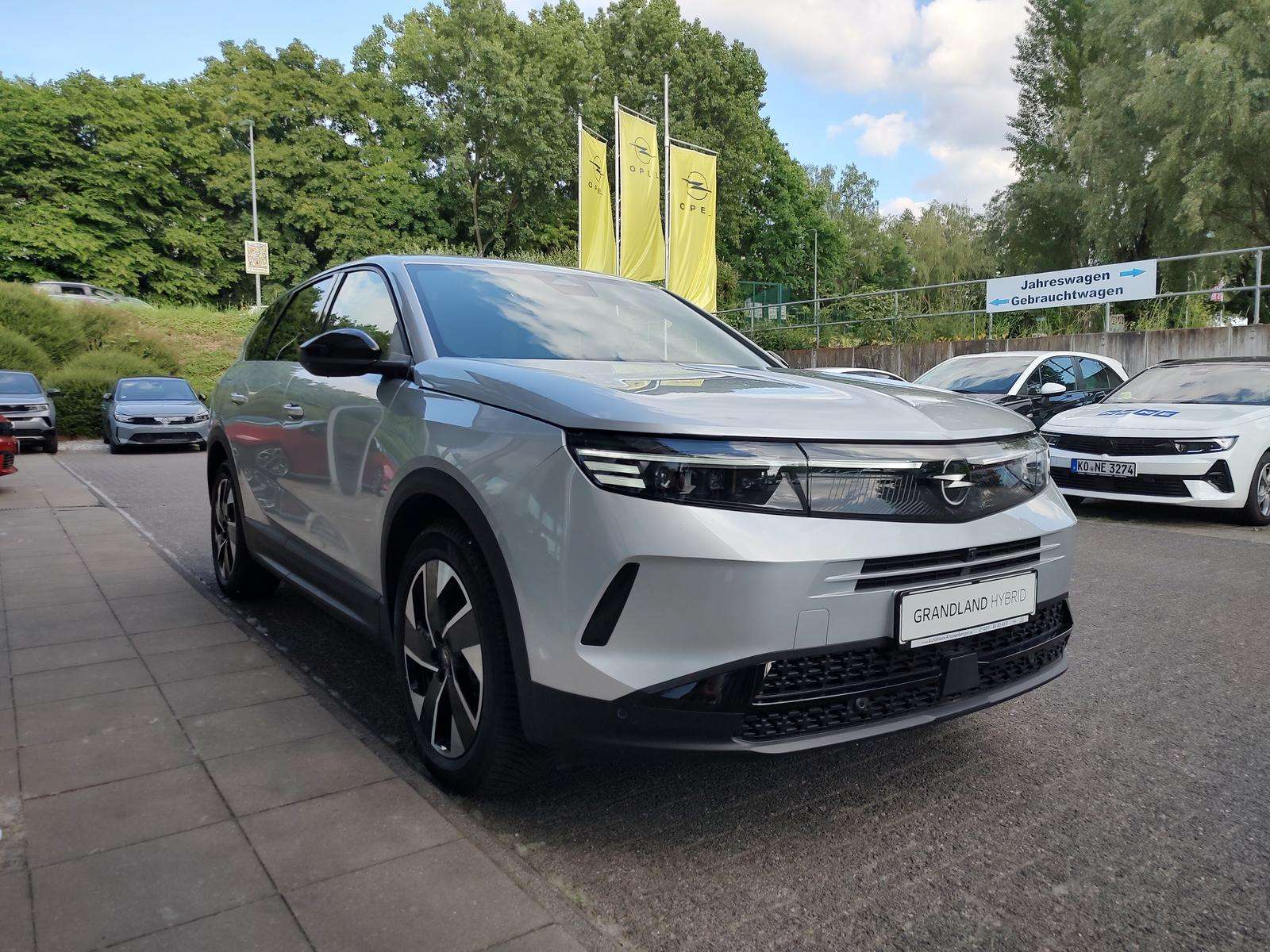 Fahrzeugbild eines Opel Grandland X
