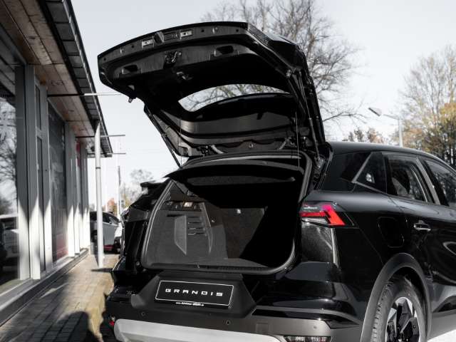 Fahrzeugbild eines Mitsubishi Grandis