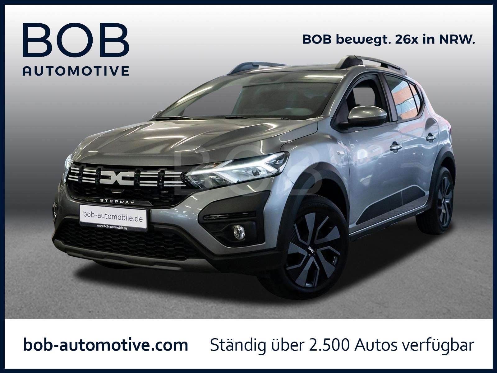 Fahrzeugbild eines Dacia Sandero