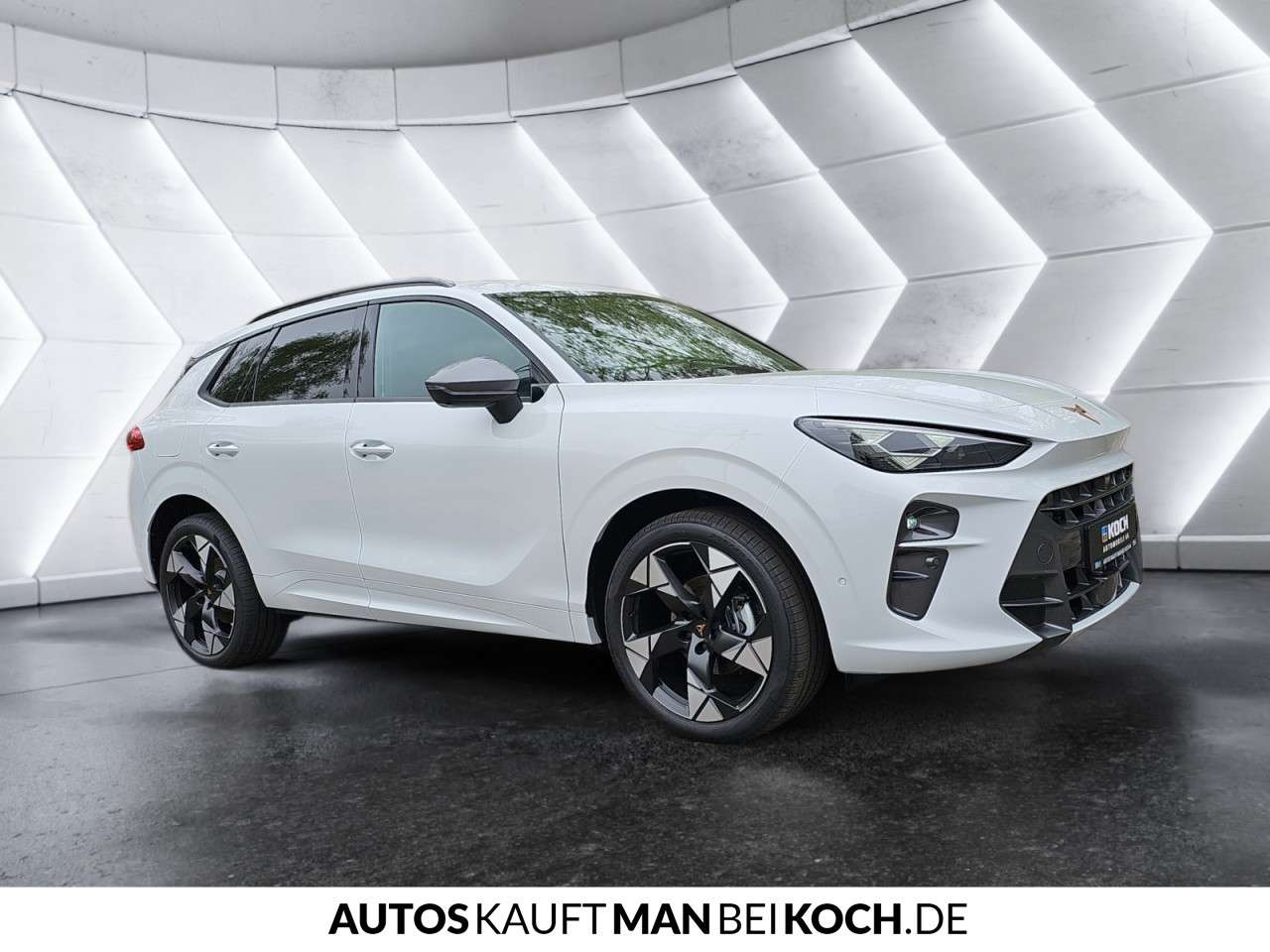 Fahrzeugbild eines CUPRA Terramar