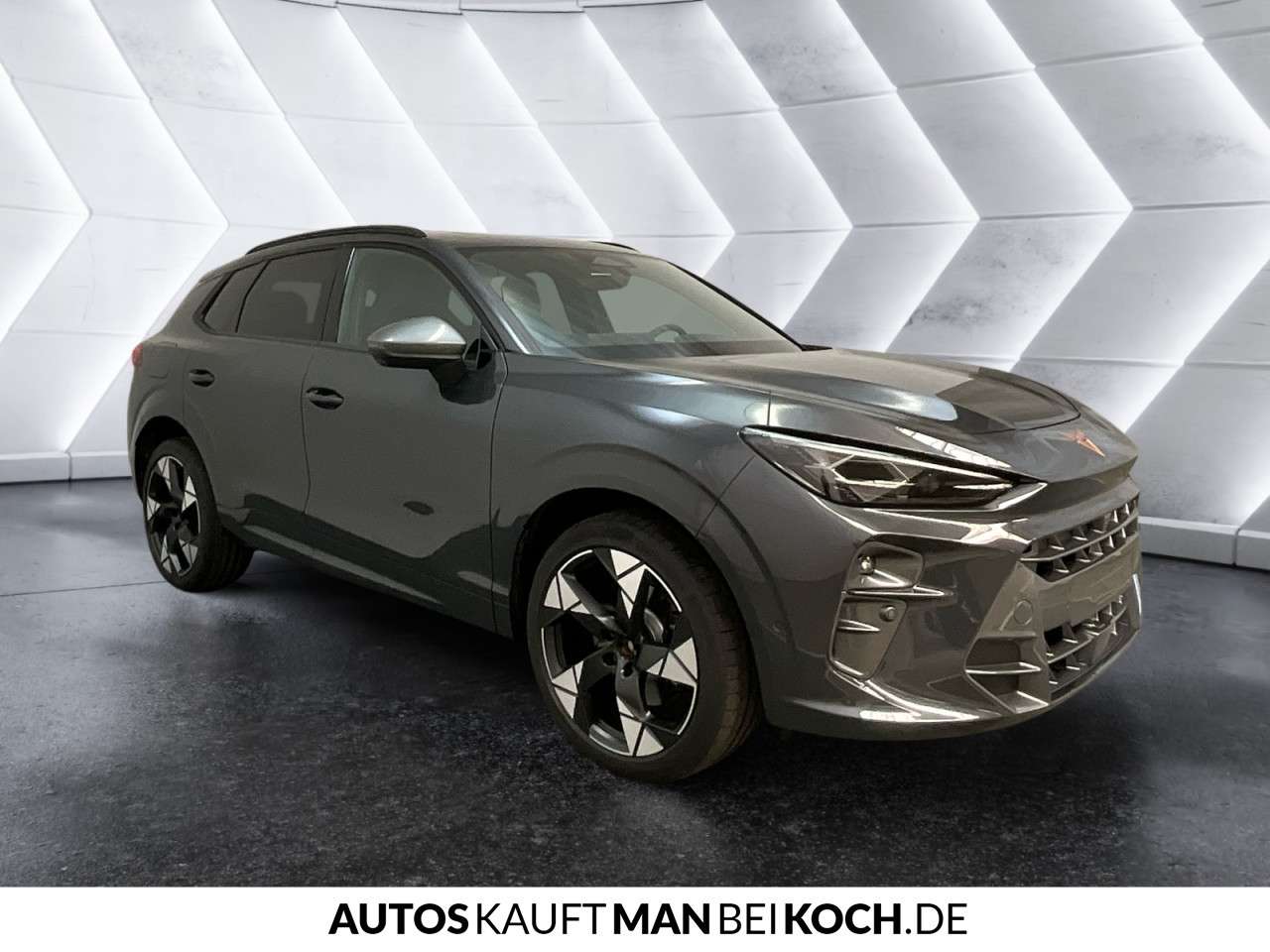 Fahrzeugbild eines CUPRA Terramar