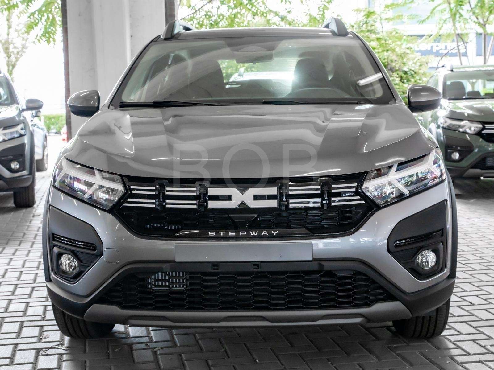 Fahrzeugbild eines Dacia Sandero