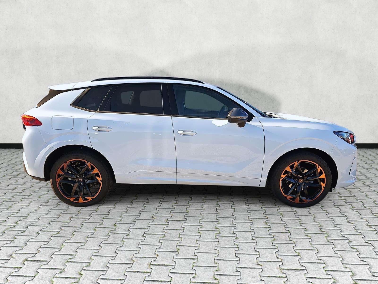 Fahrzeugbild eines CUPRA Terramar