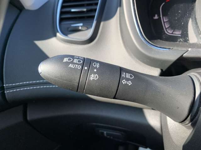 Fahrzeugbild eines Renault Scénic