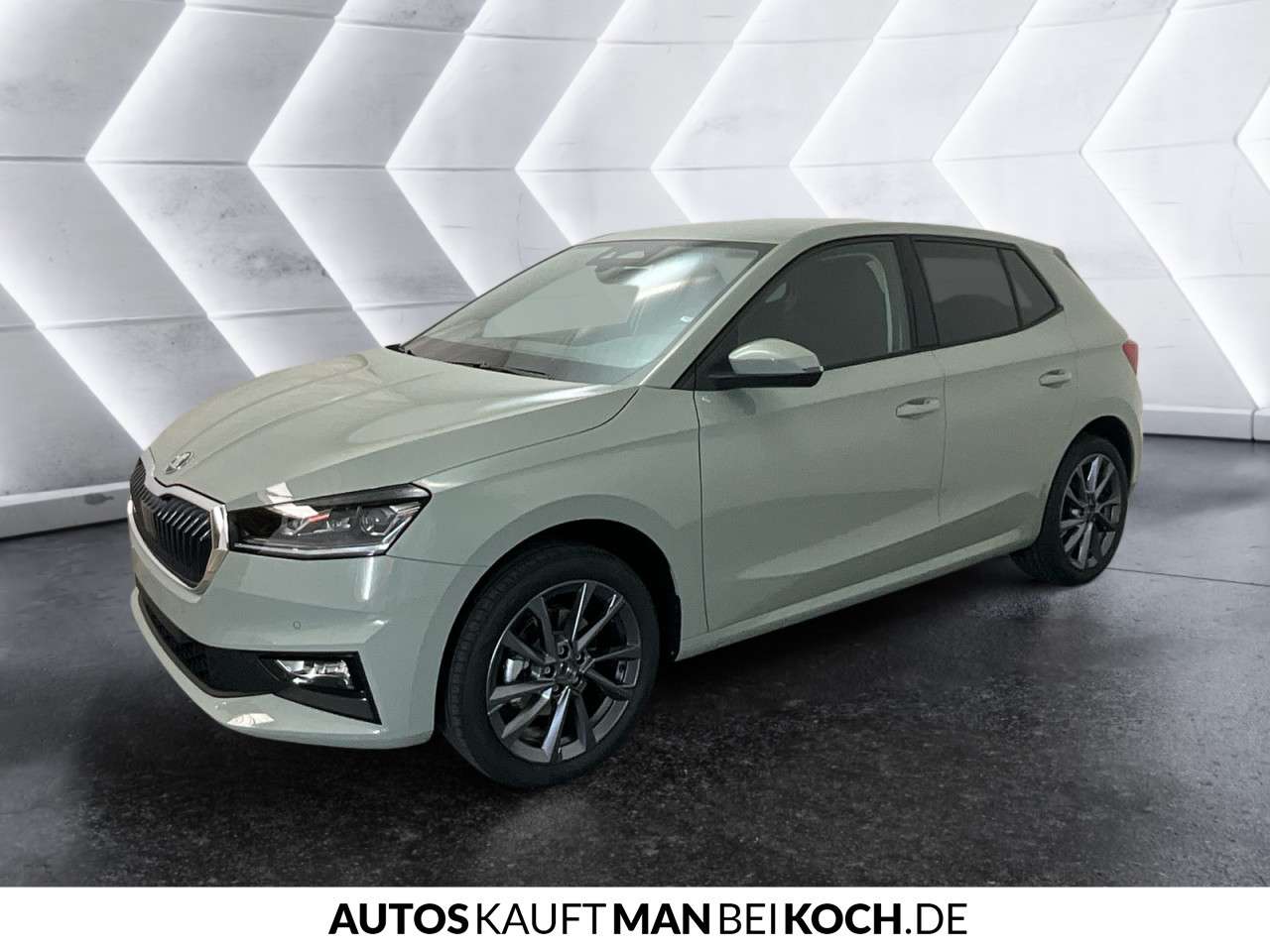 Fahrzeugbild eines Skoda Fabia