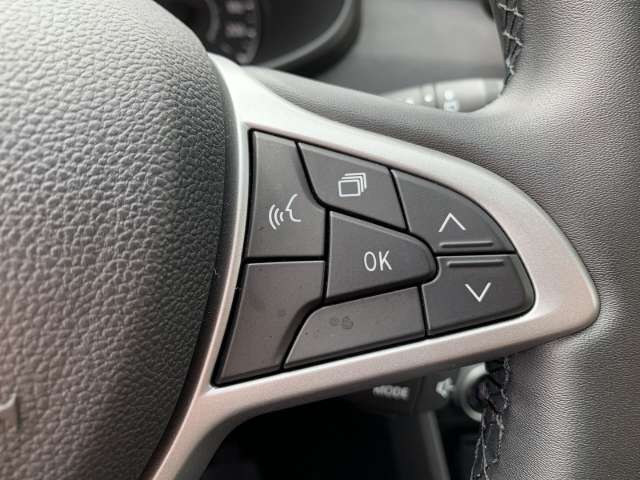 Fahrzeugbild eines Dacia Jogger