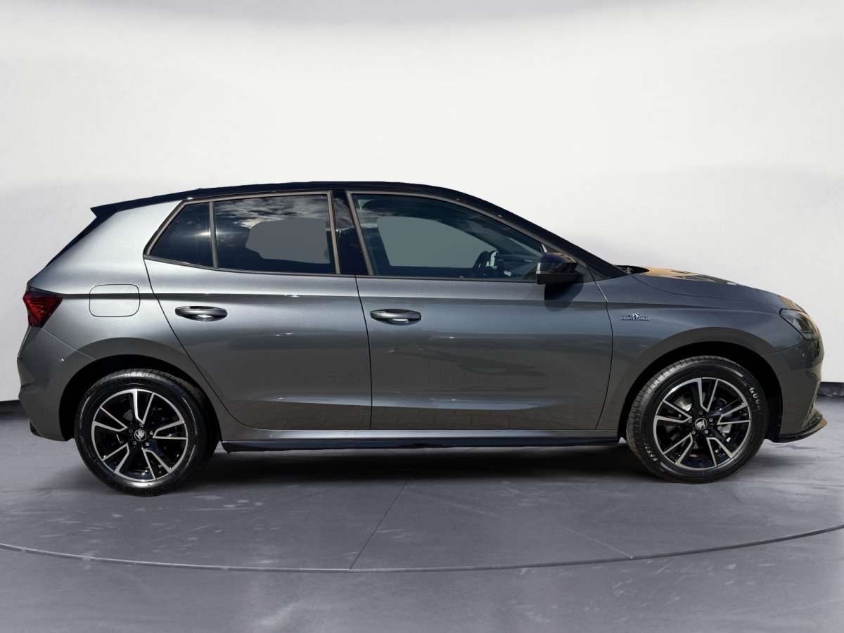 Fahrzeugbild eines Skoda Fabia