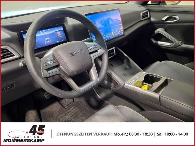 Fahrzeugbild eines BYD Atto 2