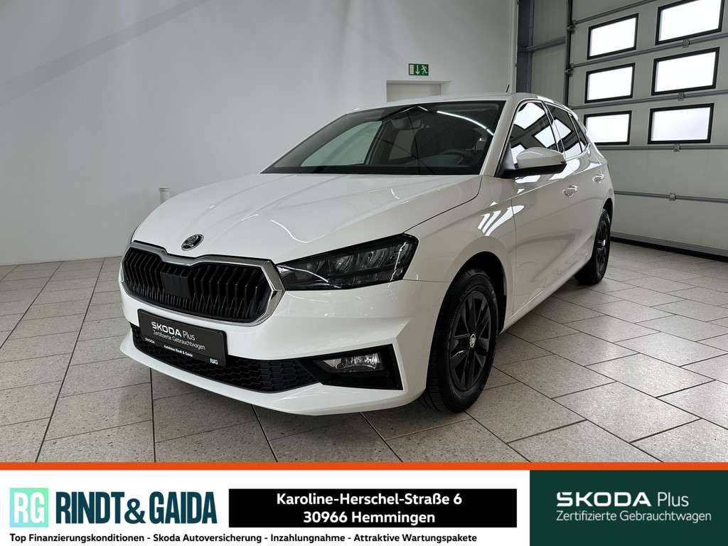 Fahrzeugbild eines Skoda Fabia