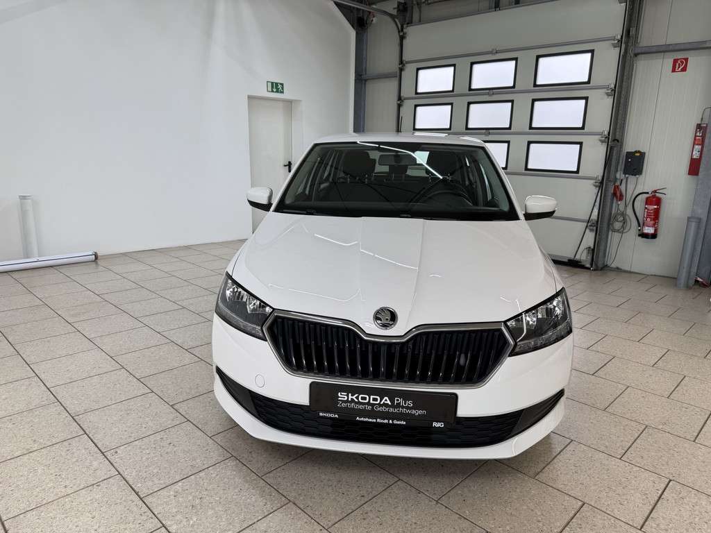 Fahrzeugbild eines Skoda Fabia