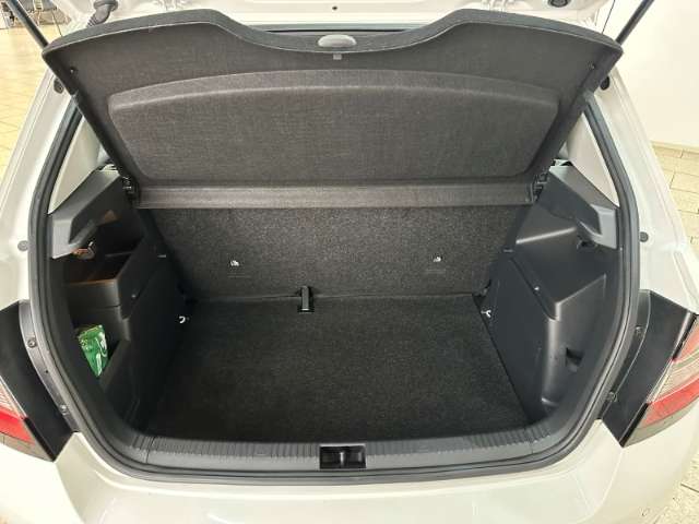 Fahrzeugbild eines Skoda Fabia