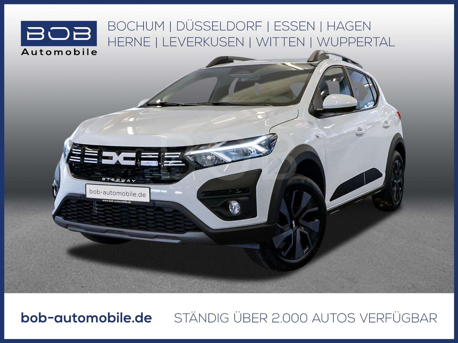 Fahrzeugbild eines Dacia Sandero