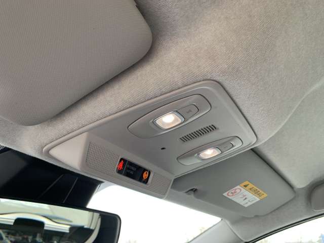 Fahrzeugbild eines Renault ZOE