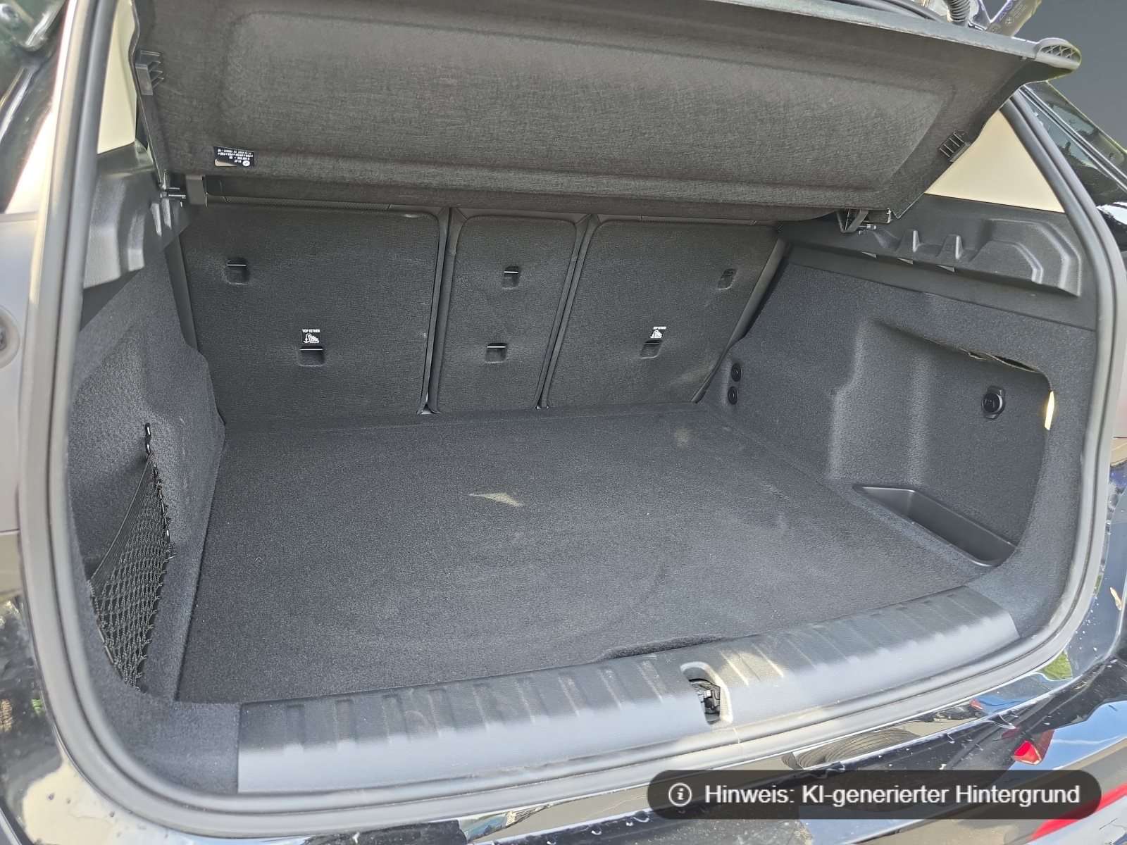 Fahrzeugbild eines BMW X1