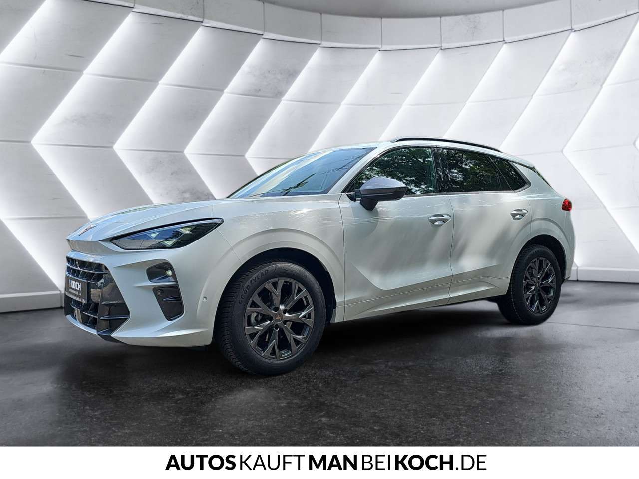 Fahrzeugbild eines CUPRA Terramar