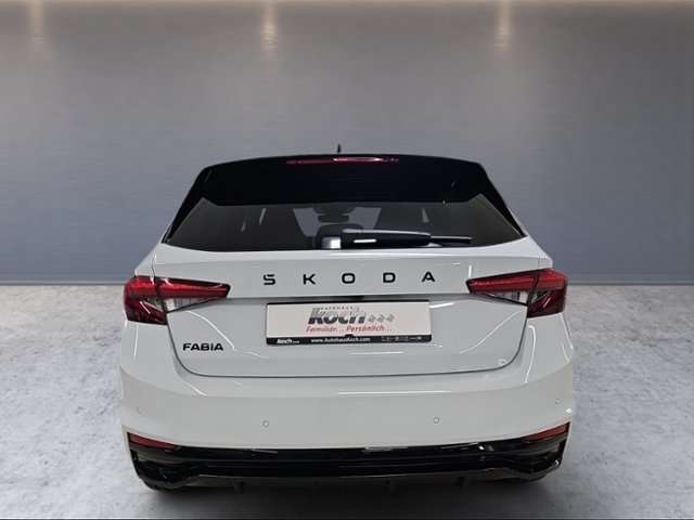 Fahrzeugbild eines Skoda Fabia