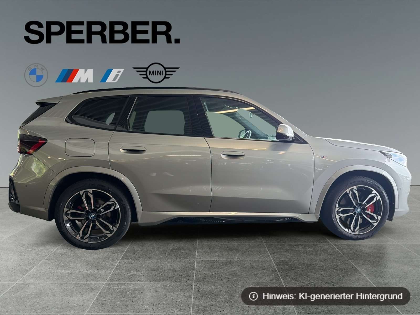 Fahrzeugbild eines BMW iX1