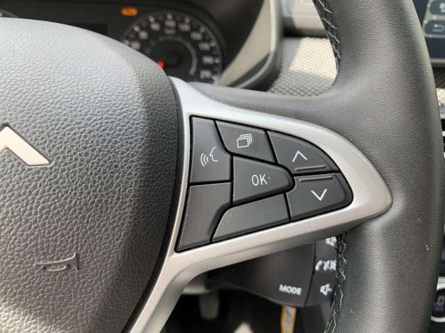 Fahrzeugbild eines Dacia Sandero