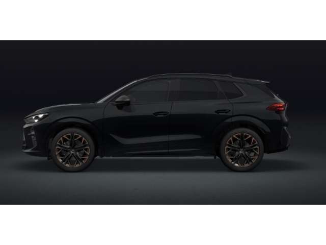 Fahrzeugbild eines CUPRA Terramar