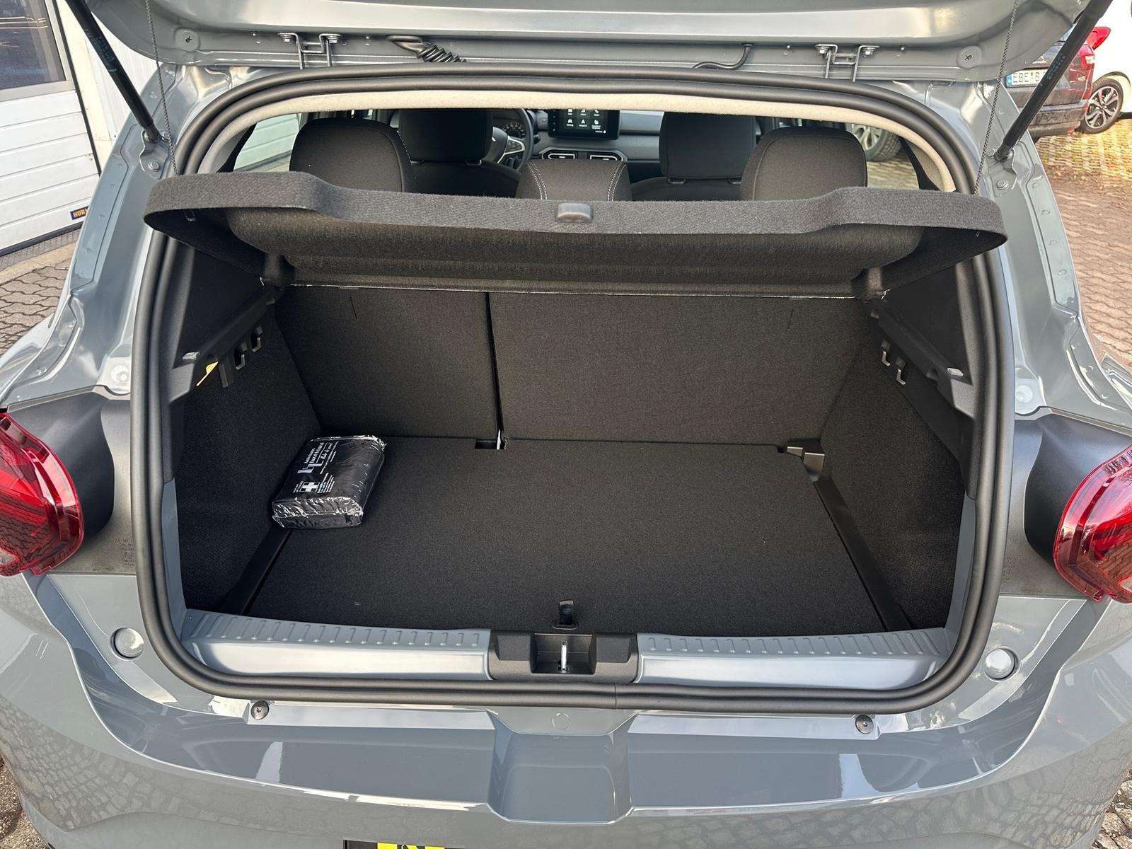 Fahrzeugbild eines Dacia Sandero