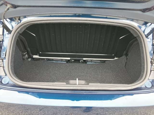 Fahrzeugbild eines Fiat 500