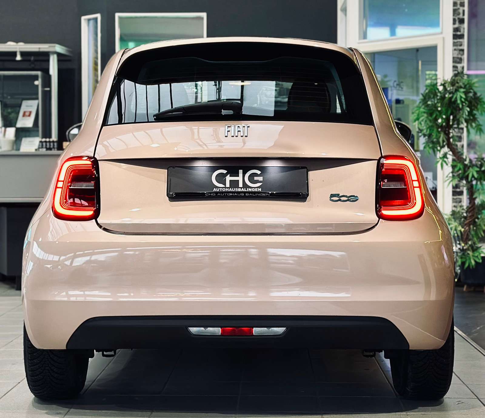Fahrzeugbild eines Fiat 500