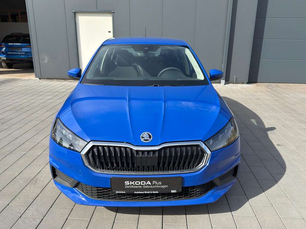 Fahrzeugbild eines Skoda Fabia