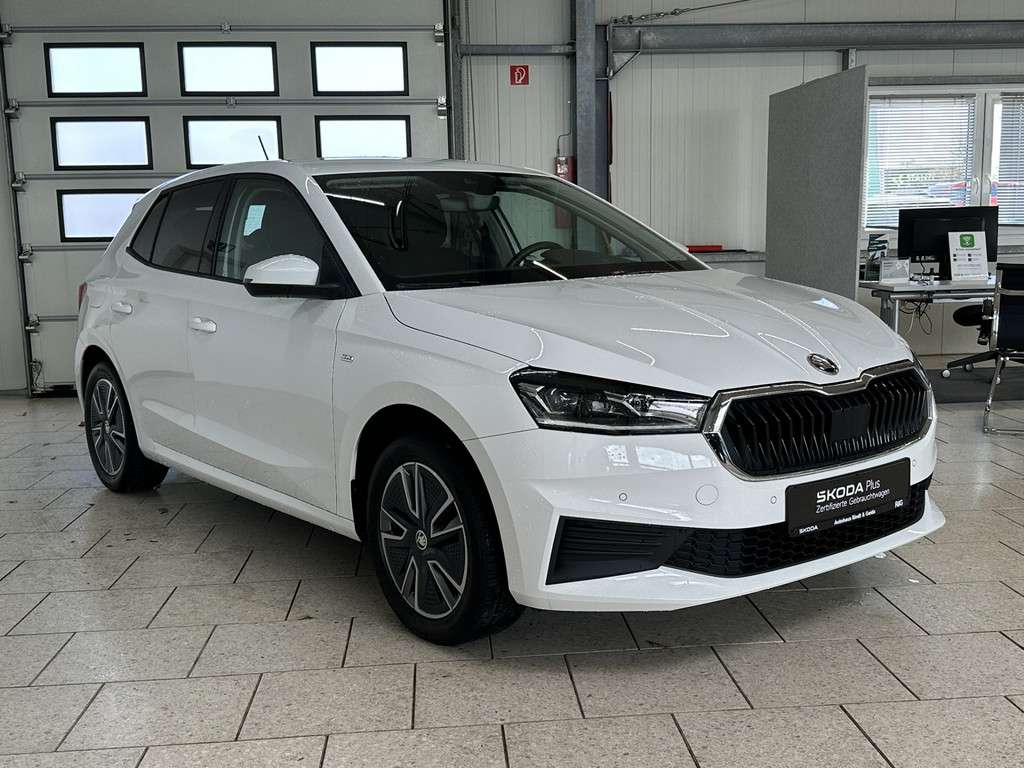 Fahrzeugbild eines Skoda Fabia