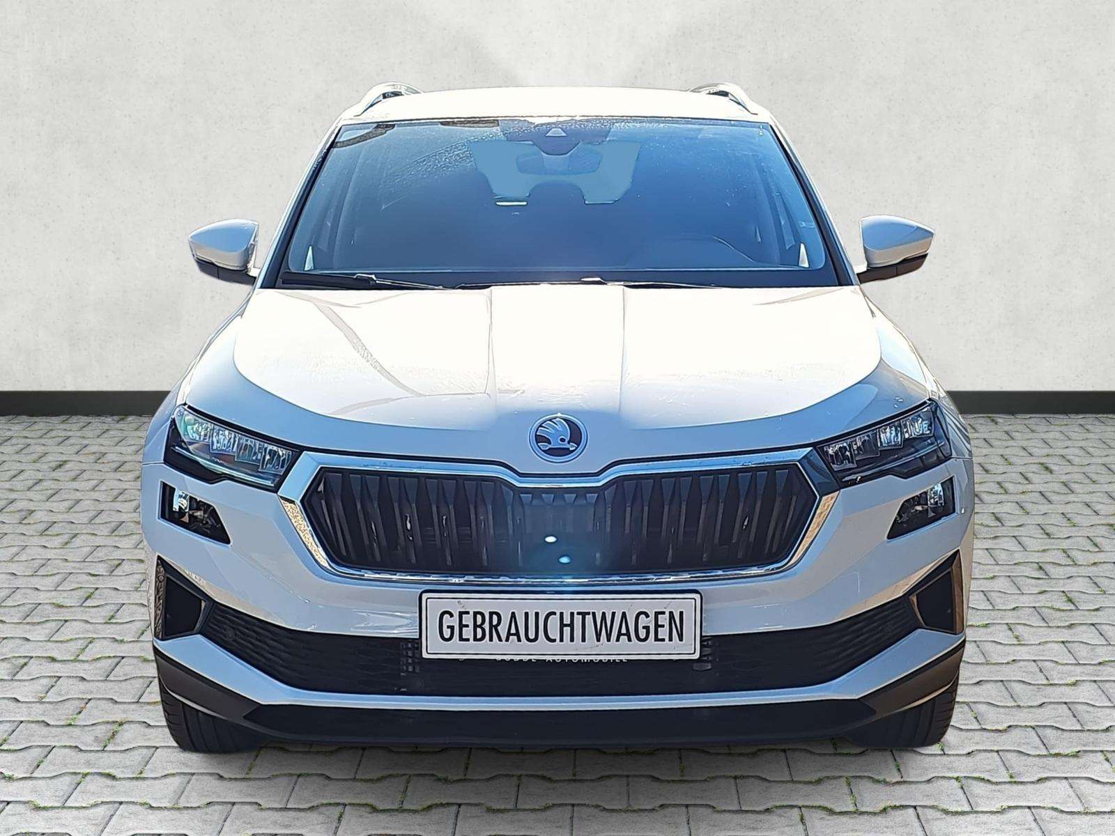 Fahrzeugbild eines Skoda Karoq
