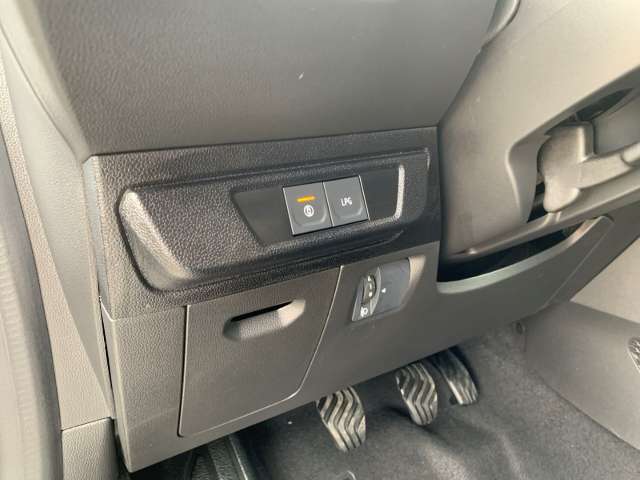 Fahrzeugbild eines Dacia Sandero
