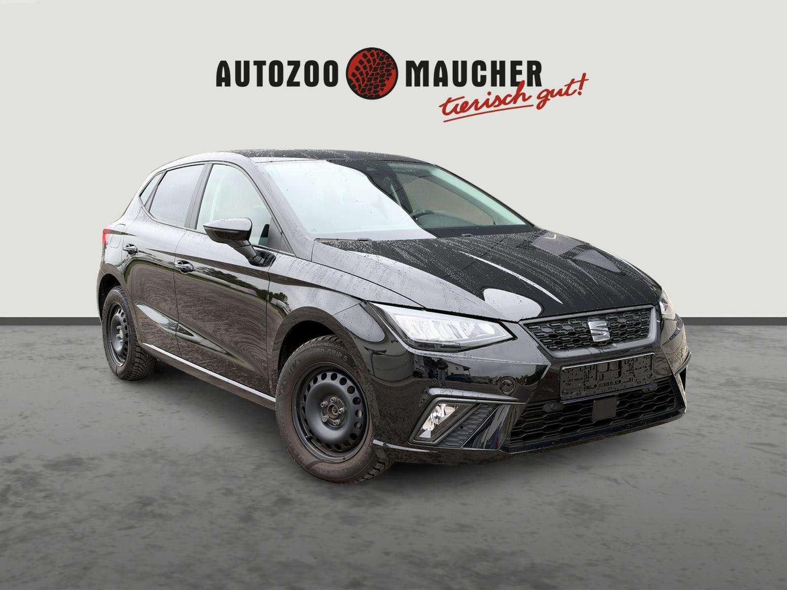 Fahrzeugbild eines SEAT Ibiza