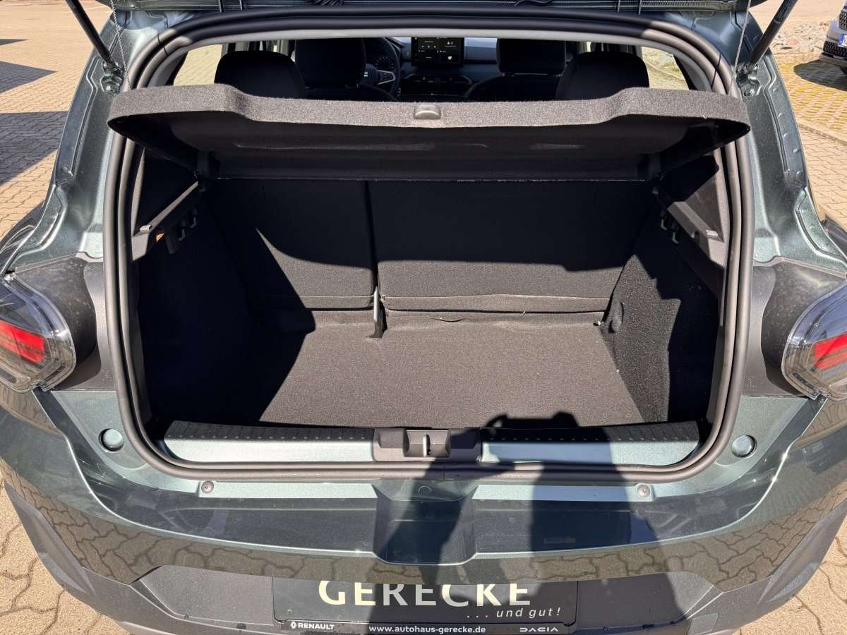 Fahrzeugbild eines Dacia Sandero