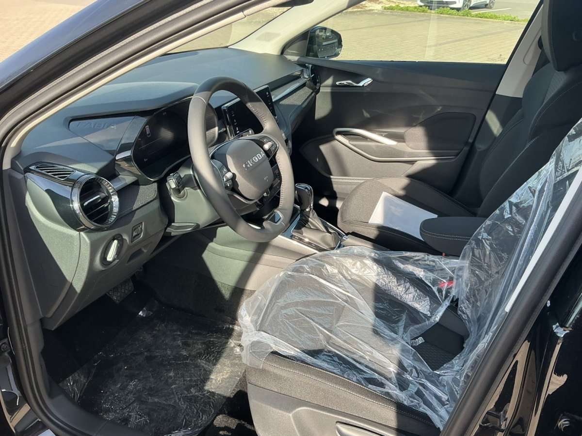 Fahrzeugbild eines Skoda Fabia