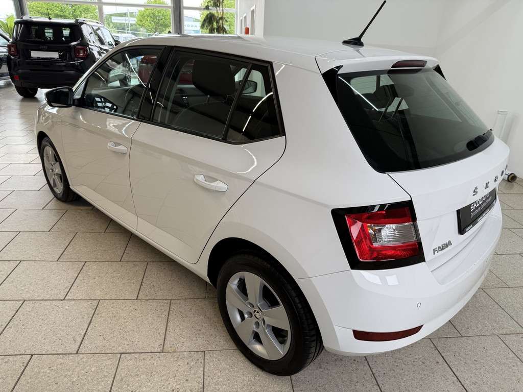 Fahrzeugbild eines Skoda Fabia