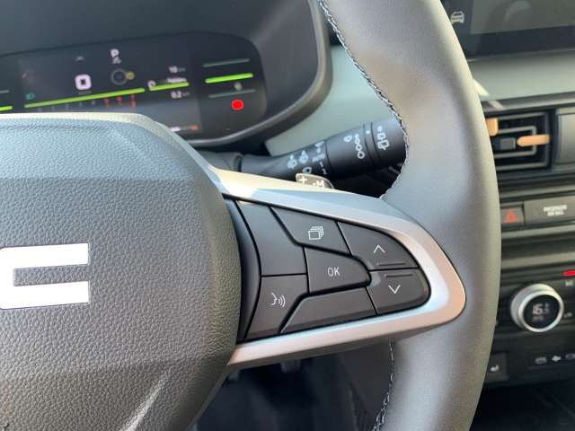 Fahrzeugbild eines Dacia Jogger