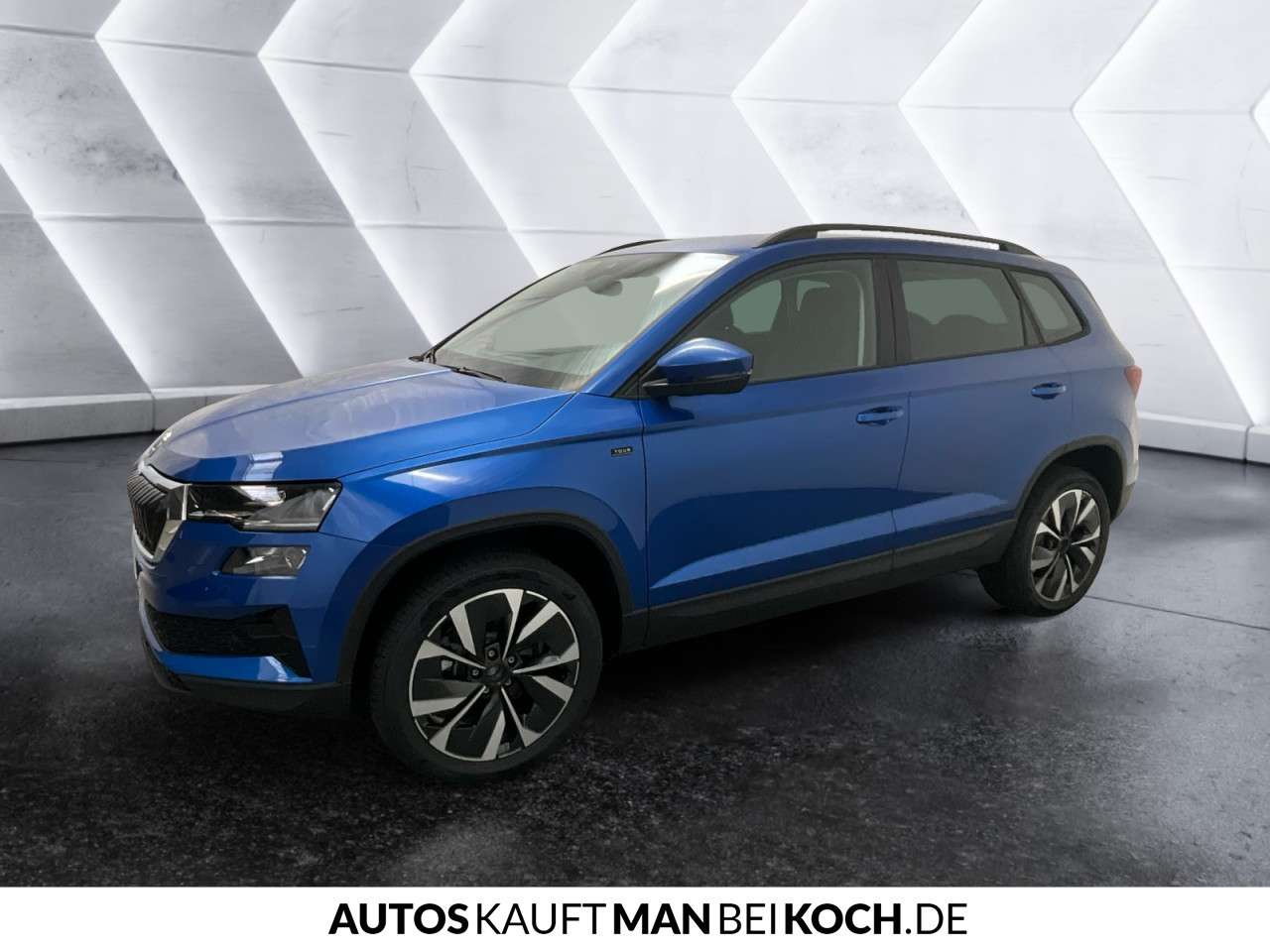 Fahrzeugbild eines Skoda Karoq
