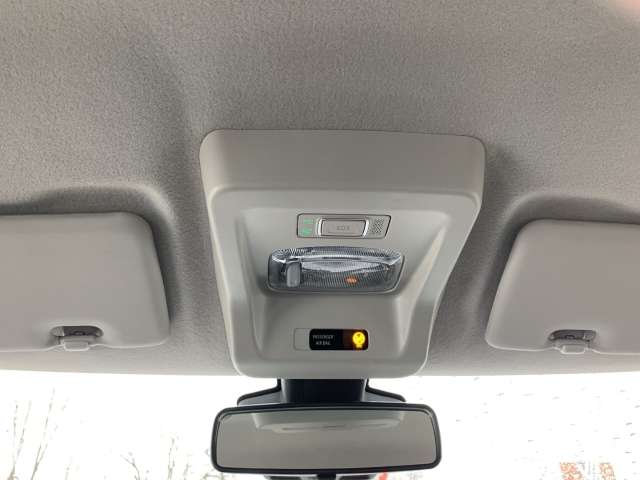 Fahrzeugbild eines Dacia Spring