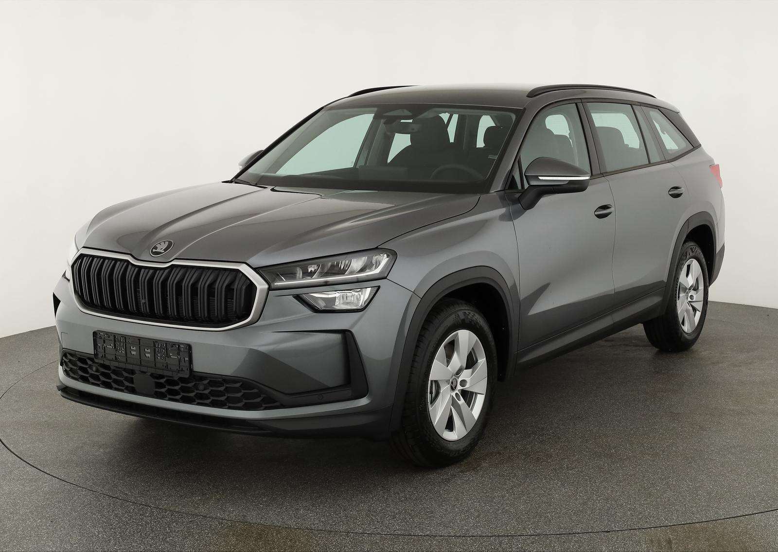 Fahrzeugbild eines Skoda Kodiaq
