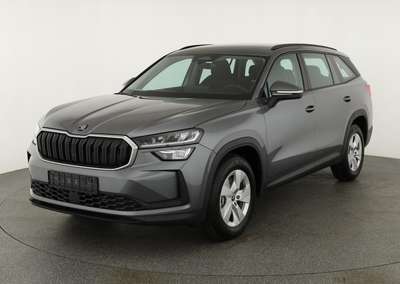 Bild Skoda Kodiaq
