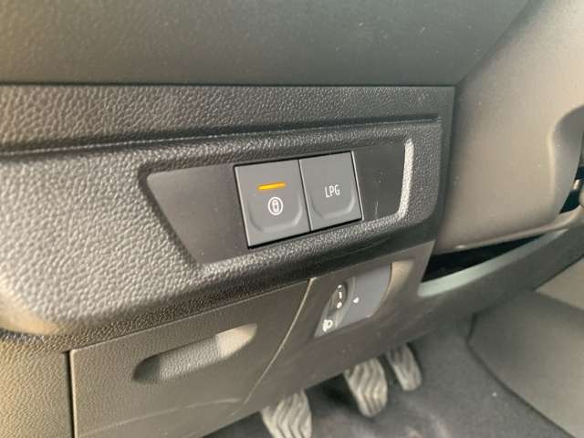 Fahrzeugbild eines Dacia Sandero
