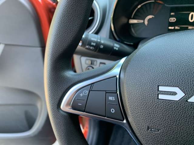 Fahrzeugbild eines Dacia Spring