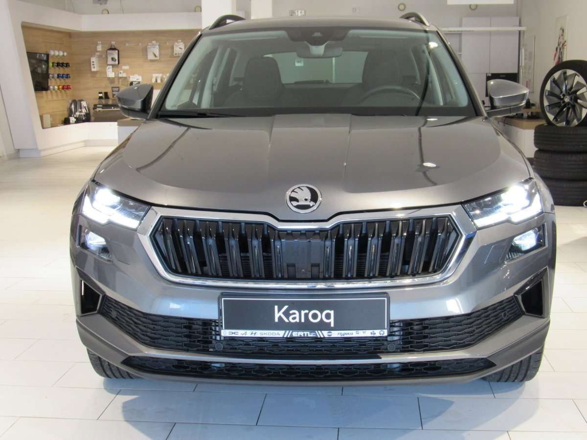 Fahrzeugbild eines Skoda Karoq