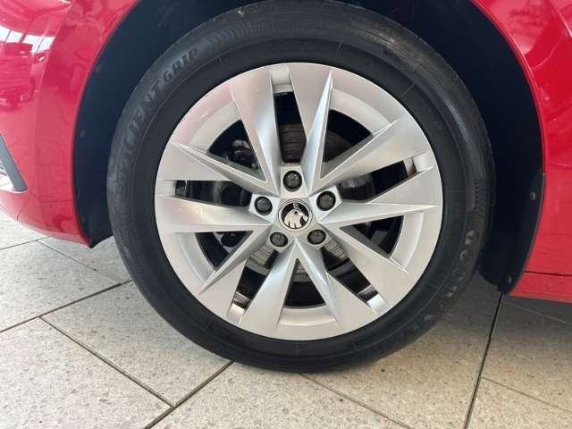 Fahrzeugbild eines Skoda Octavia